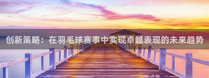 创新策略：在羽毛球赛事中实现卓越表现
