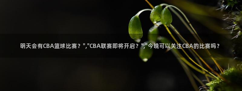 明天会有CBA篮球比赛？\
