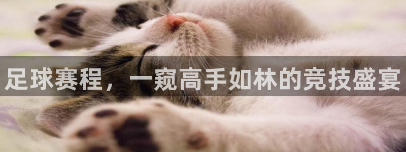 足球赛程，一窥高手如林的竞技盛宴