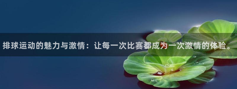  排球运动的魅力与激情：让每一次比赛都成为一次激情的体验。