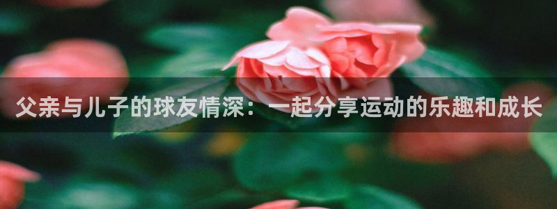 父亲与儿子的球友情深：一起分享运动的