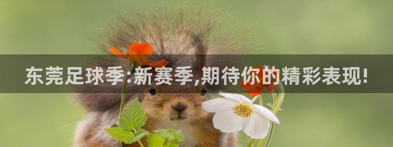  易游体育app客户端下载安装最新版：东莞足球季:新赛季,期待