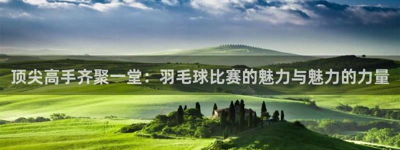 易游app客户端下载app：顶尖高手
