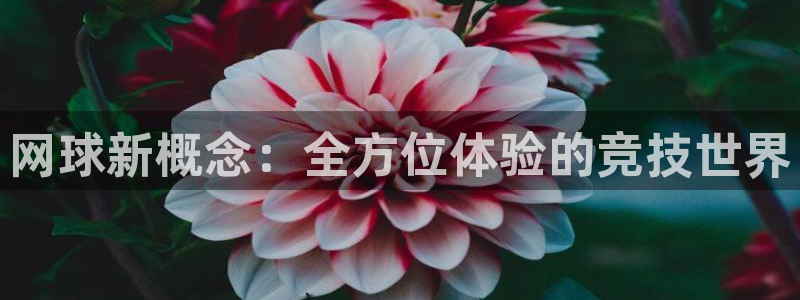 易游体育app官网菲哥下载：网球新概念：全方位体验的竞技世界