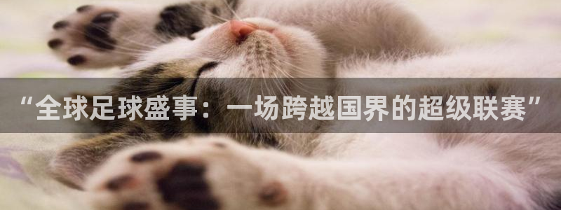 易游体育官网最新版本更新内容详解视频：“全球足球盛事：一场跨