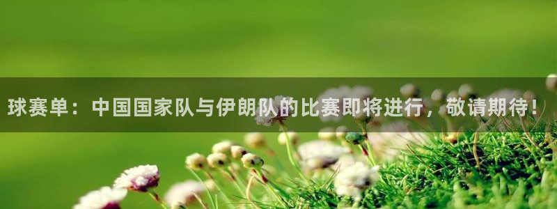 易游体育官网下载安装手机版：球赛单：中国国家队与伊朗队的比赛