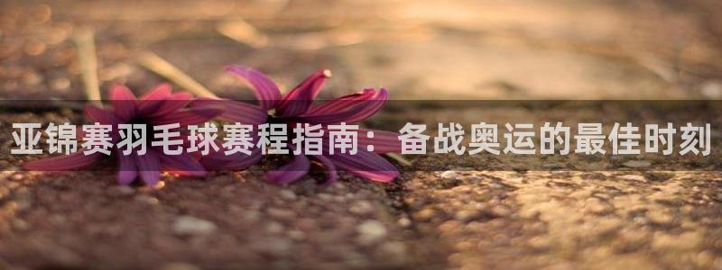 易游app官方下载最新版：亚锦赛羽毛