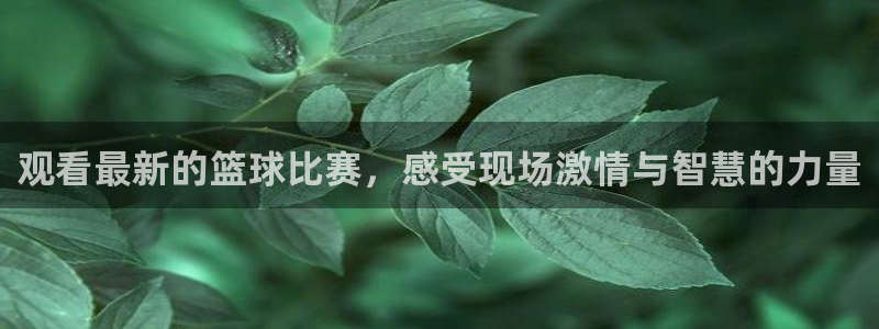易游商城可信吗：观看最新的篮球比赛，