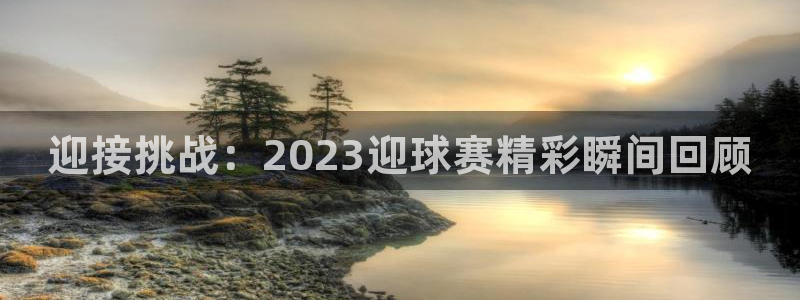 易游app官方下载安装最新版：迎接挑